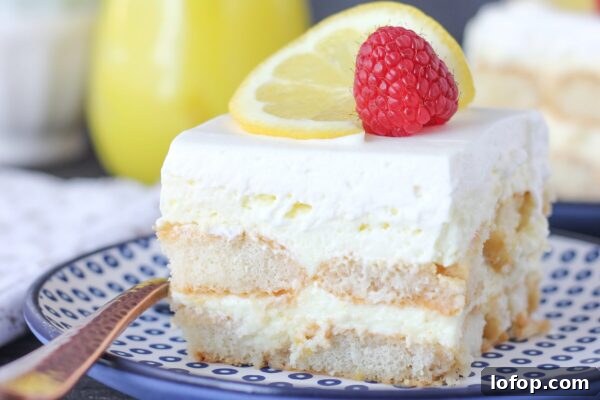 9 Refreshing No-Bake Summer Desserts You Can Make Today 3 img 6003 2