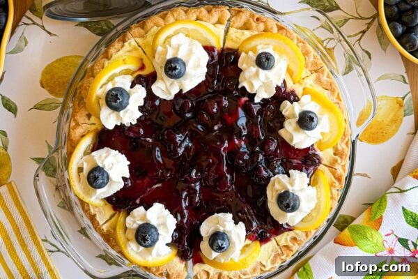 9 Refreshing No-Bake Summer Desserts You Can Make Today 7 img 6003 6