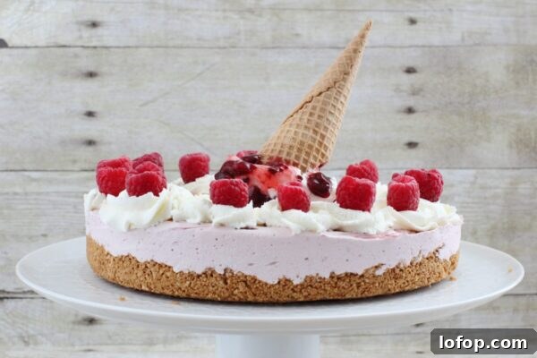 9 Refreshing No-Bake Summer Desserts You Can Make Today 8 img 6003 7