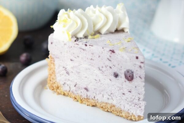 9 Refreshing No-Bake Summer Desserts You Can Make Today 10 img 6003 9