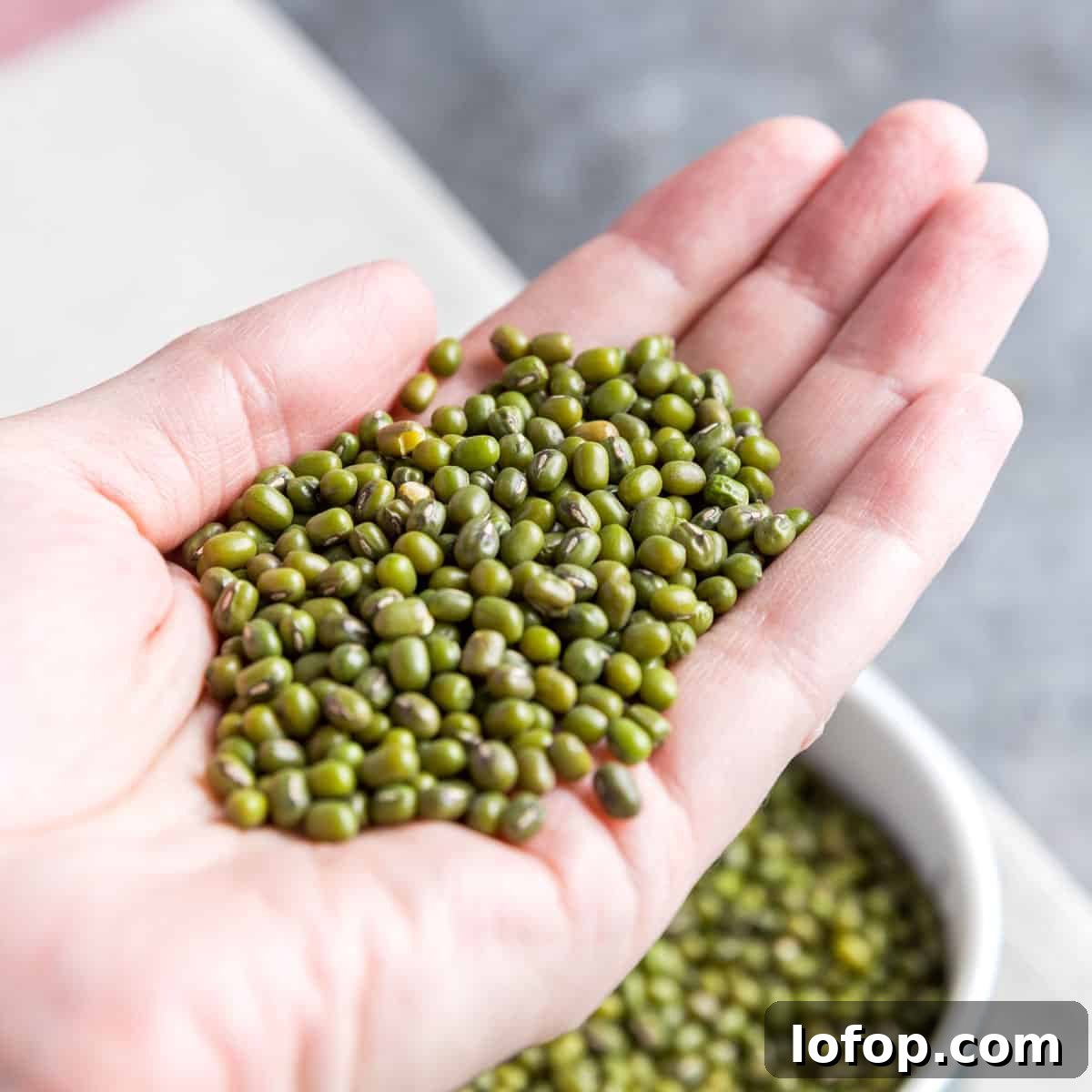 Perfect Instant Pot Mung Beans: Tender, Flavorful Every Time 3 Photo showing a hand holding a pile of mung beans.