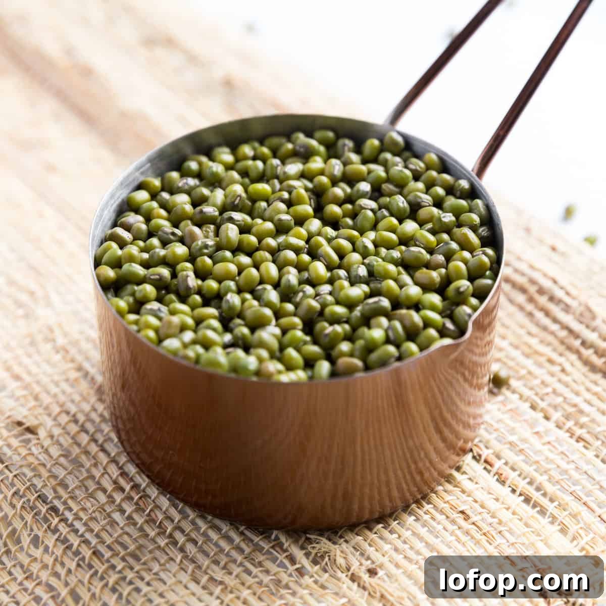 Perfect Instant Pot Mung Beans: Tender, Flavorful Every Time 21 img 6028 21