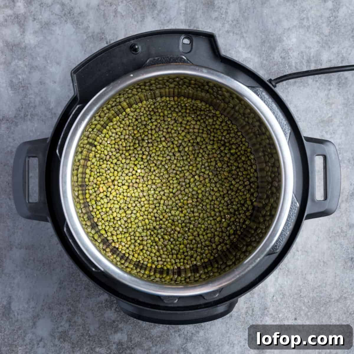 Perfect Instant Pot Mung Beans: Tender, Flavorful Every Time 6 Photo of dried whole mung beans in the Instant Pot.