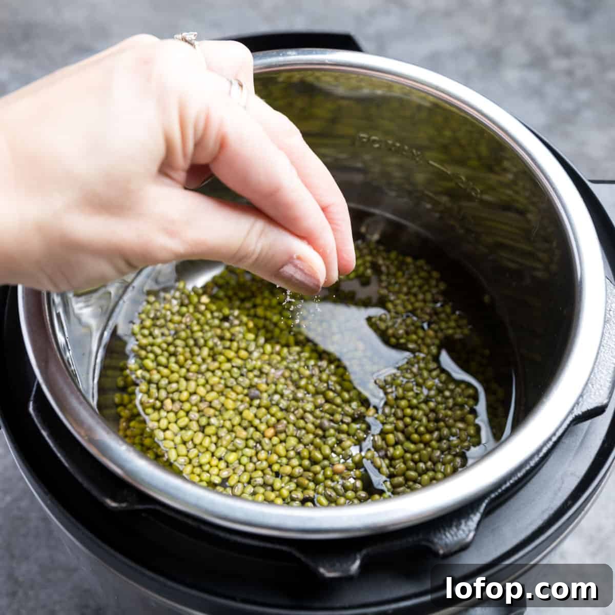 Perfect Instant Pot Mung Beans: Tender, Flavorful Every Time 8 Photo showing a hand dropping in a pinch of salt into the inner pot.