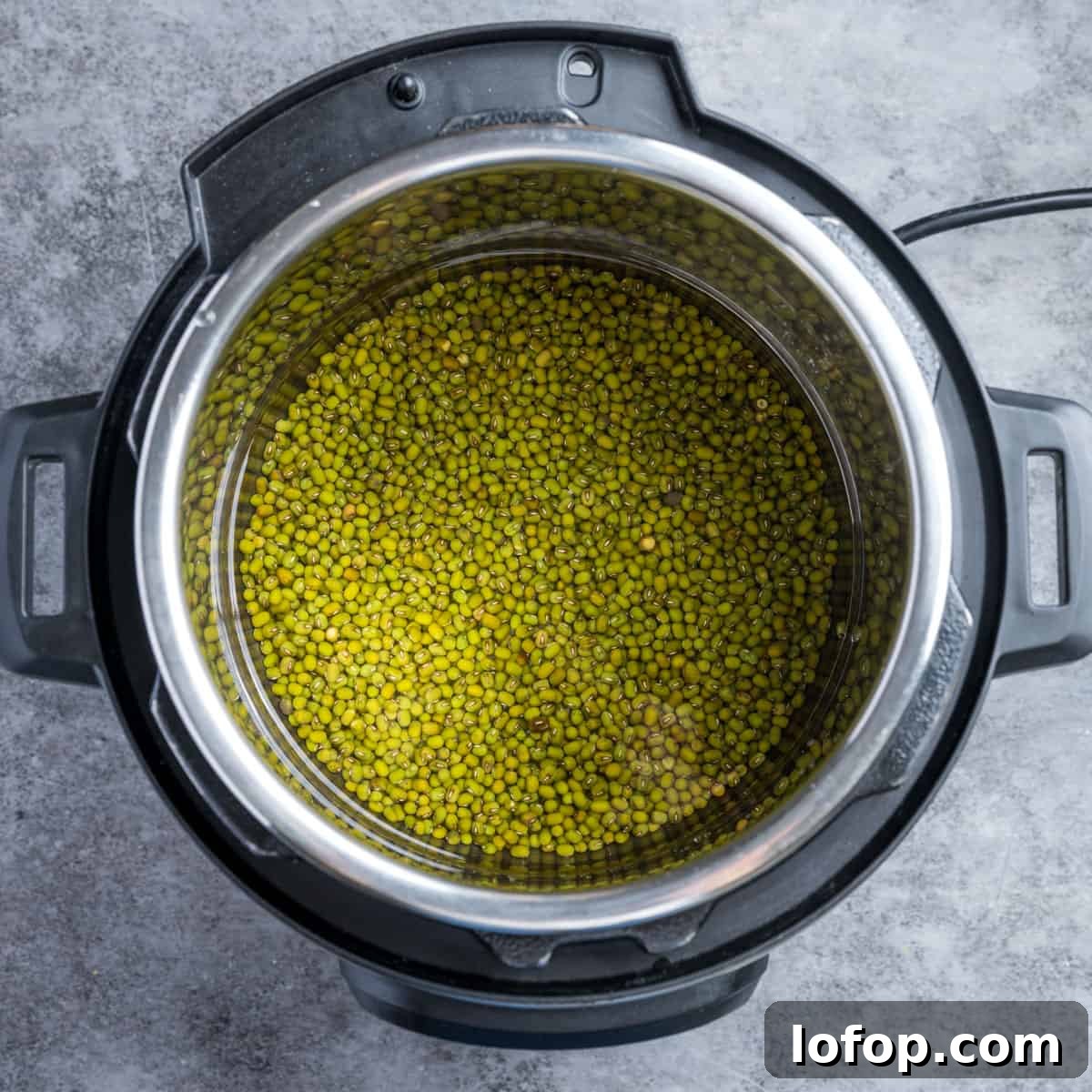 Perfect Instant Pot Mung Beans: Tender, Flavorful Every Time 9 Photo showing the mung beans and water in the Instant Pot ready to cook.