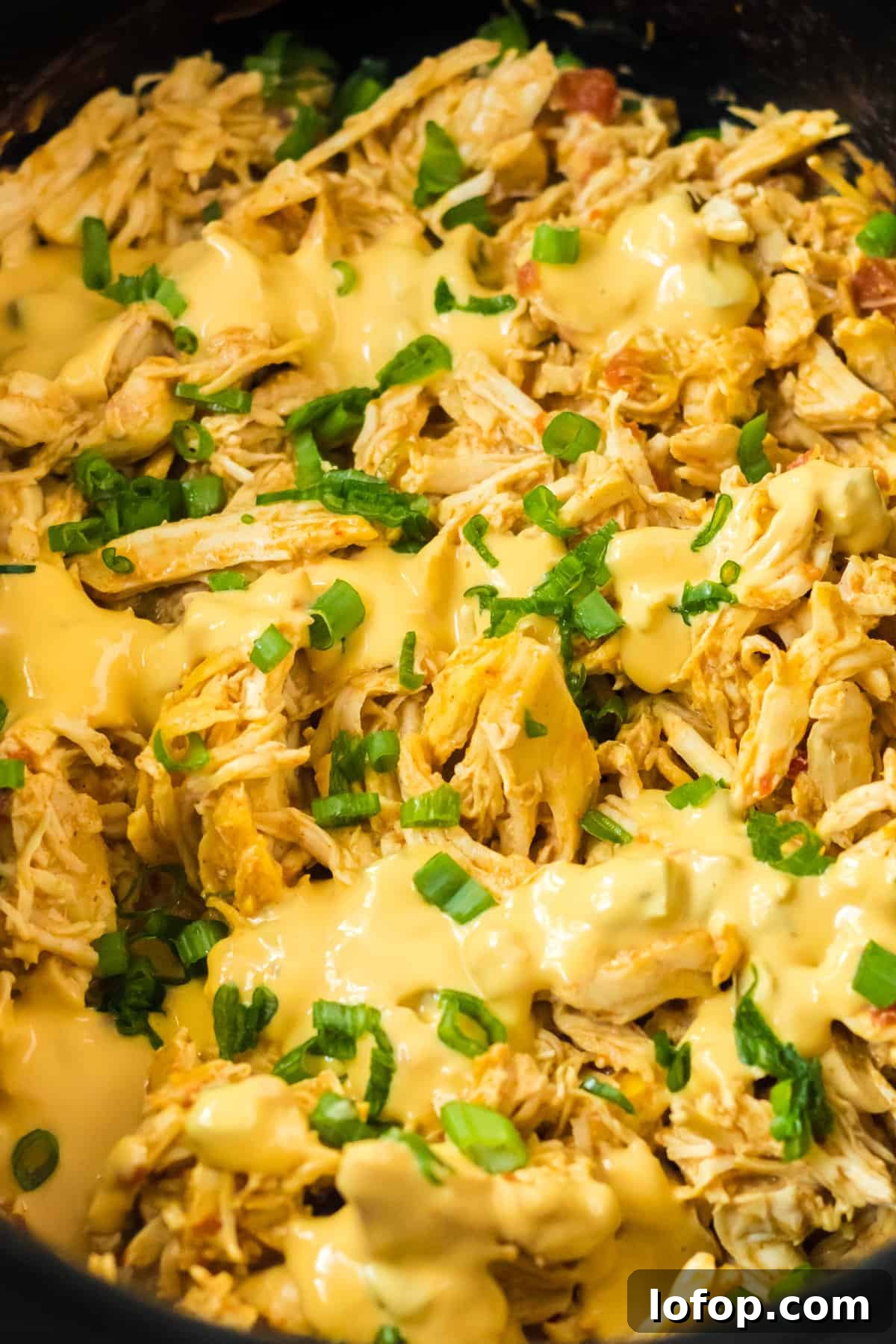 Cheesy shredded chicken in the crockpot topped with queso and chopped green onions.