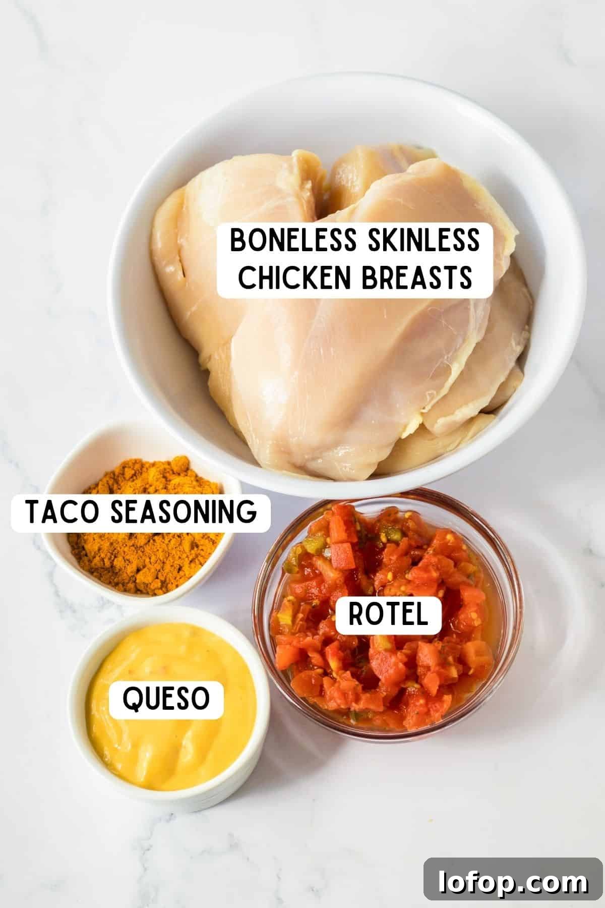 Boneless skinless chicken breasts, taco seasoning, rotel, and queso.