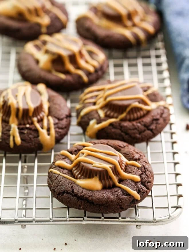 Irresistible Chocolate Peanut Butter Cup Cookie Recipe 2 chocolate peanut butter cup cookies on a wire rack