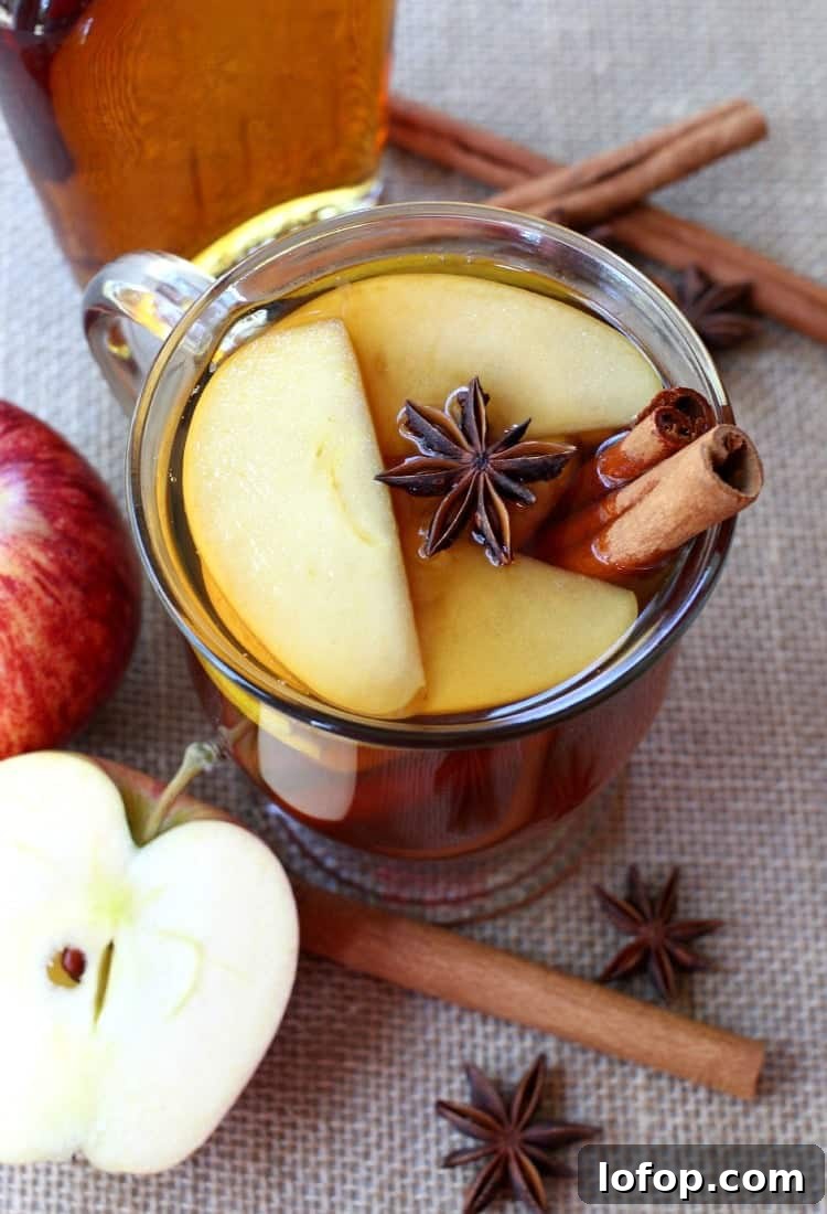 An Apple Hot Toddy will warm you up from the inside out! We're switching up the classic recipe by using apple bourbon to keep the fall feel! apple-brandy-hot-toddie-top
