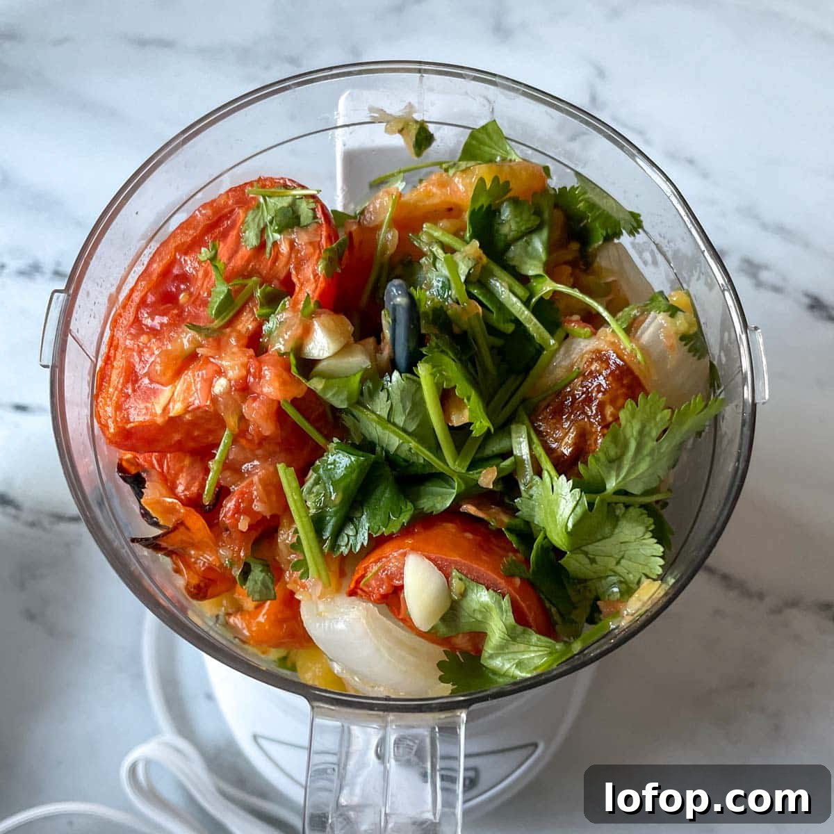 Tangy Pineapple Habanero Salsa Recipe for Grilling and Tacos 11 The roasted ingredients for pineapple habanero salsa are shown in a mini food processor.