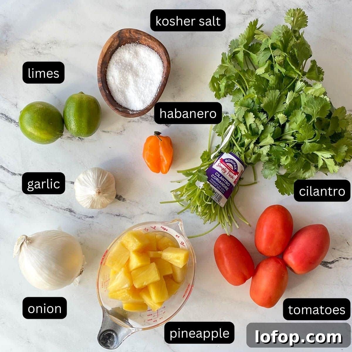 Tangy Pineapple Habanero Salsa Recipe for Grilling and Tacos 3 The labeled ingredients for pineapple habanero salsa sit on a white marble counter.