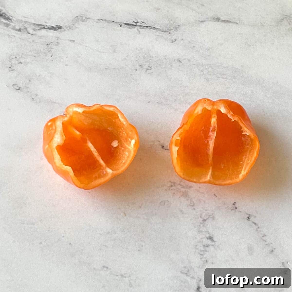 Tangy Pineapple Habanero Salsa Recipe for Grilling and Tacos 4 A deseeded and deveined habanero pepper sits on a white marble counter.