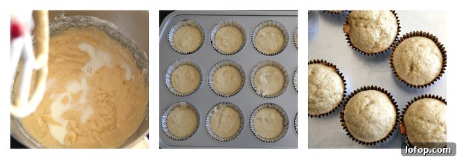 Banana Cupcakes with Nutella Whipped Cream Frosting 5 Banana Cupcakes Recipe-Step-3