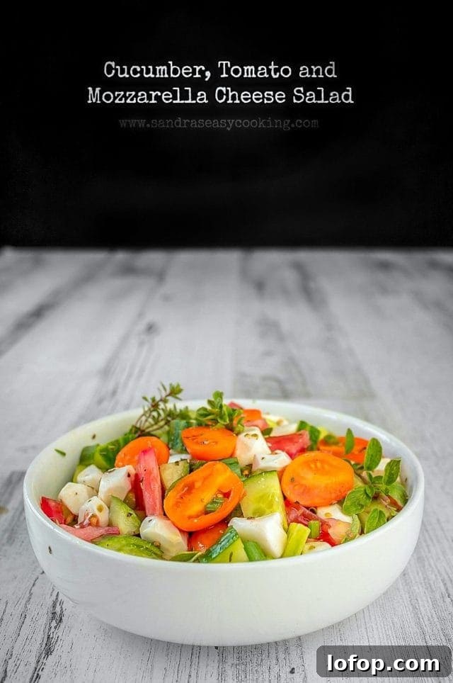Cucumber-Tomato and Mozzarella Cheese Salad