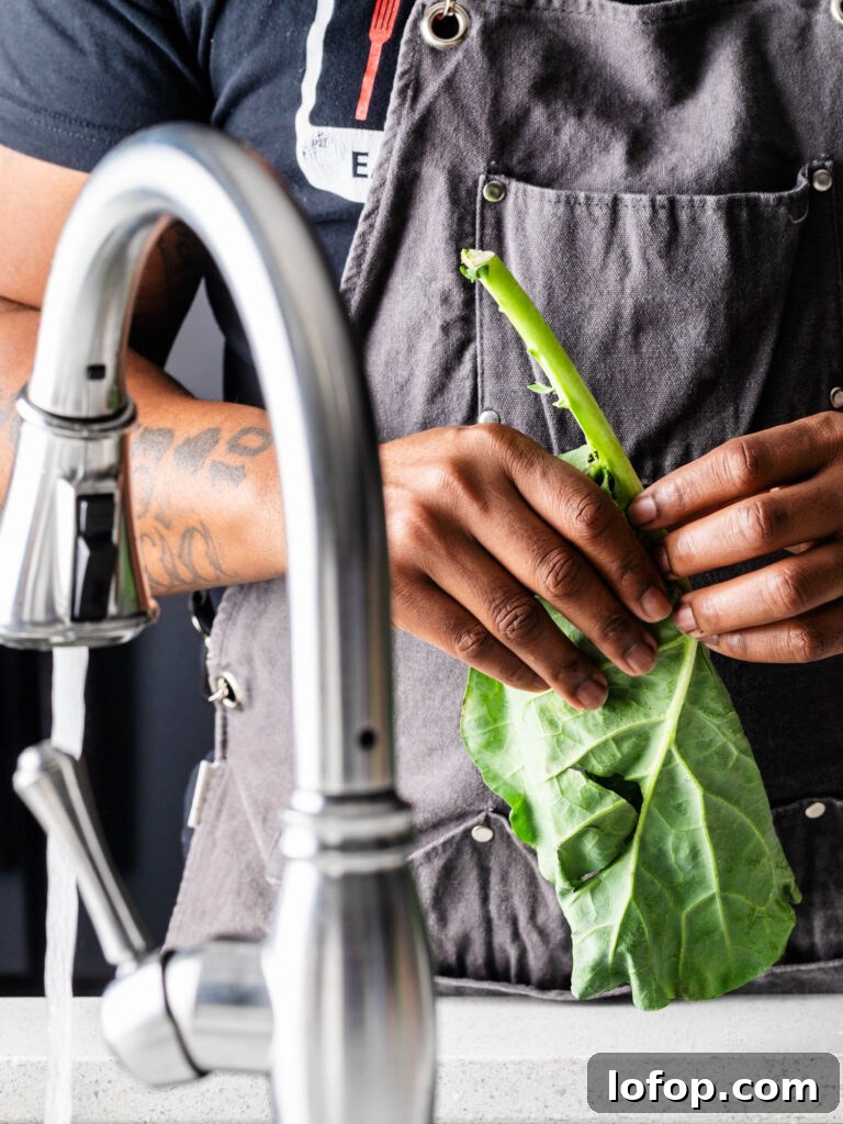 picking collard greens from the stem