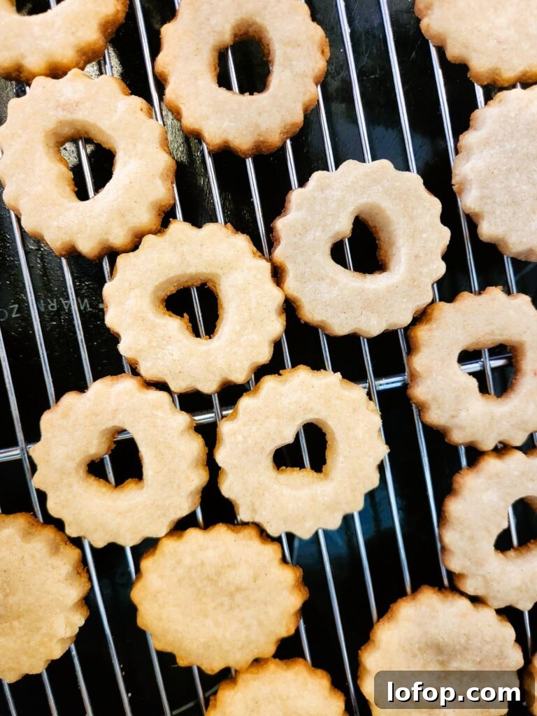 baked cookies cooling