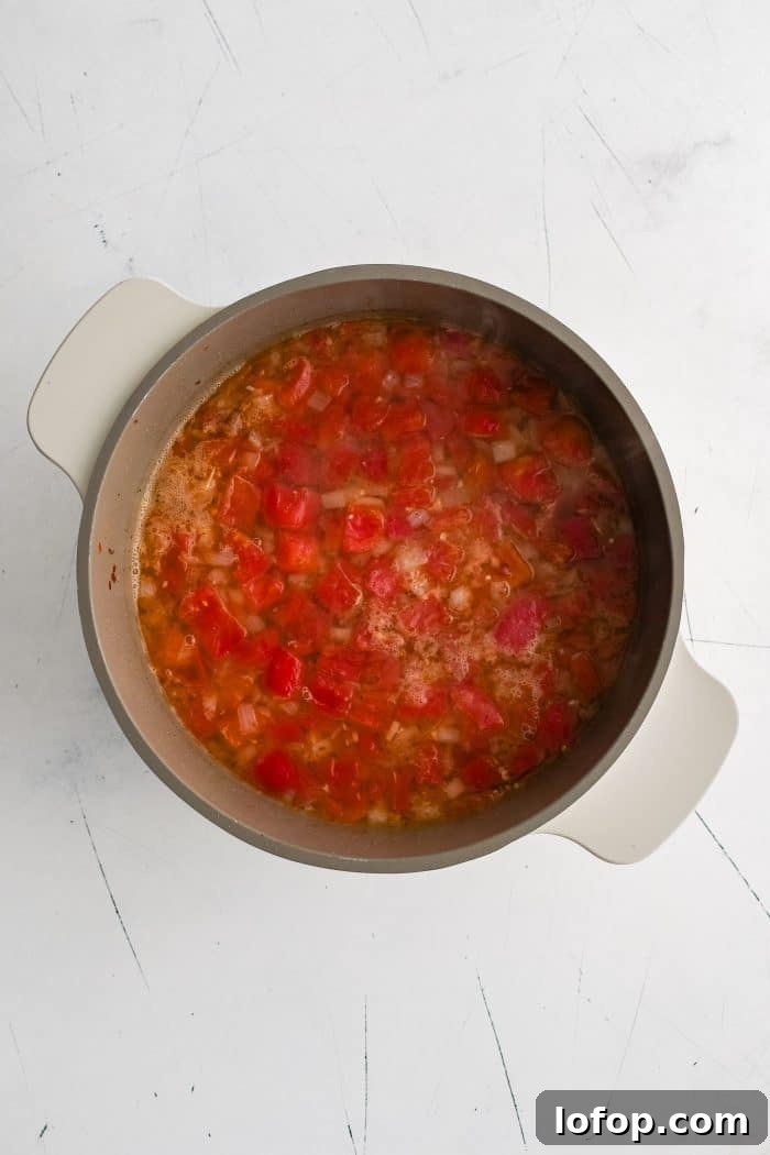 Chicken broth and canned diced tomatoes added to a large soup pot filled with cooked onions and spices.