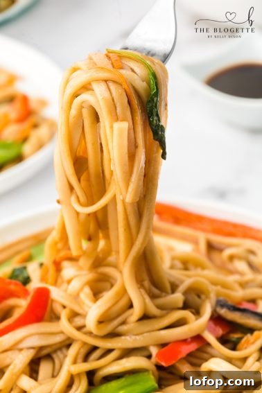 Soup Dumpling Lasagna Recipe: Comfort Fusion with Soup Dumpling Filling 14 Delicious Lo Mein recipe with a flavor that tastes just like takeout! But, it’s much quicker, tastier, and healthier than take-out.
