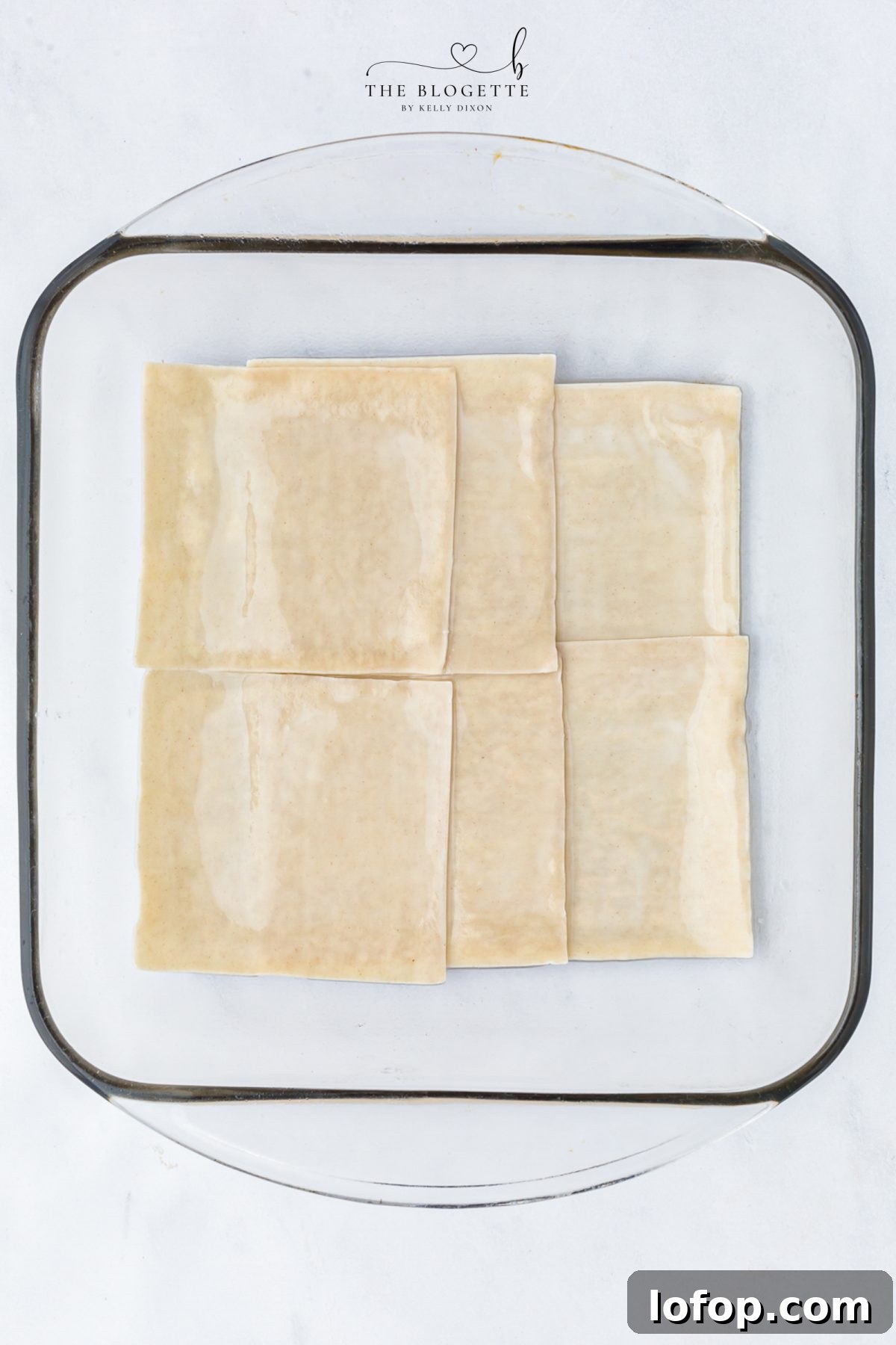 Soup Dumpling Lasagna Recipe: Comfort Fusion with Soup Dumpling Filling 7 Layer wonton wrappers and beef