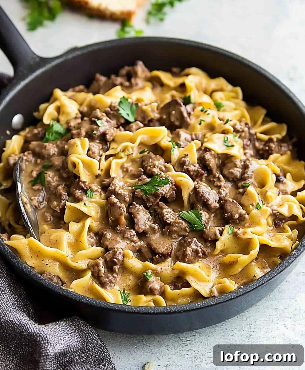 Homemade Hamburger Helper Beef Stroganoff Recipe