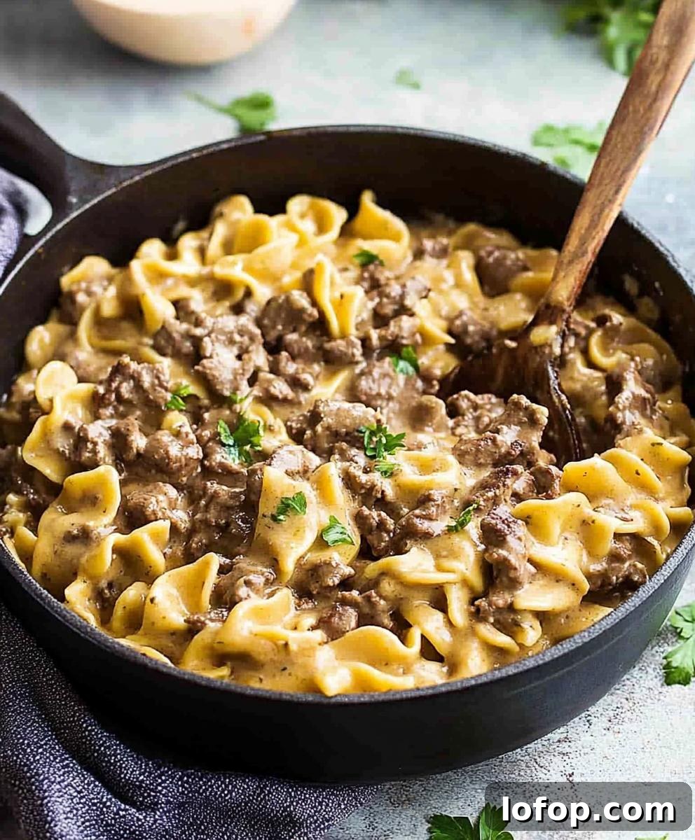 Homemade Hamburger Helper Beef Stroganoff Recipe