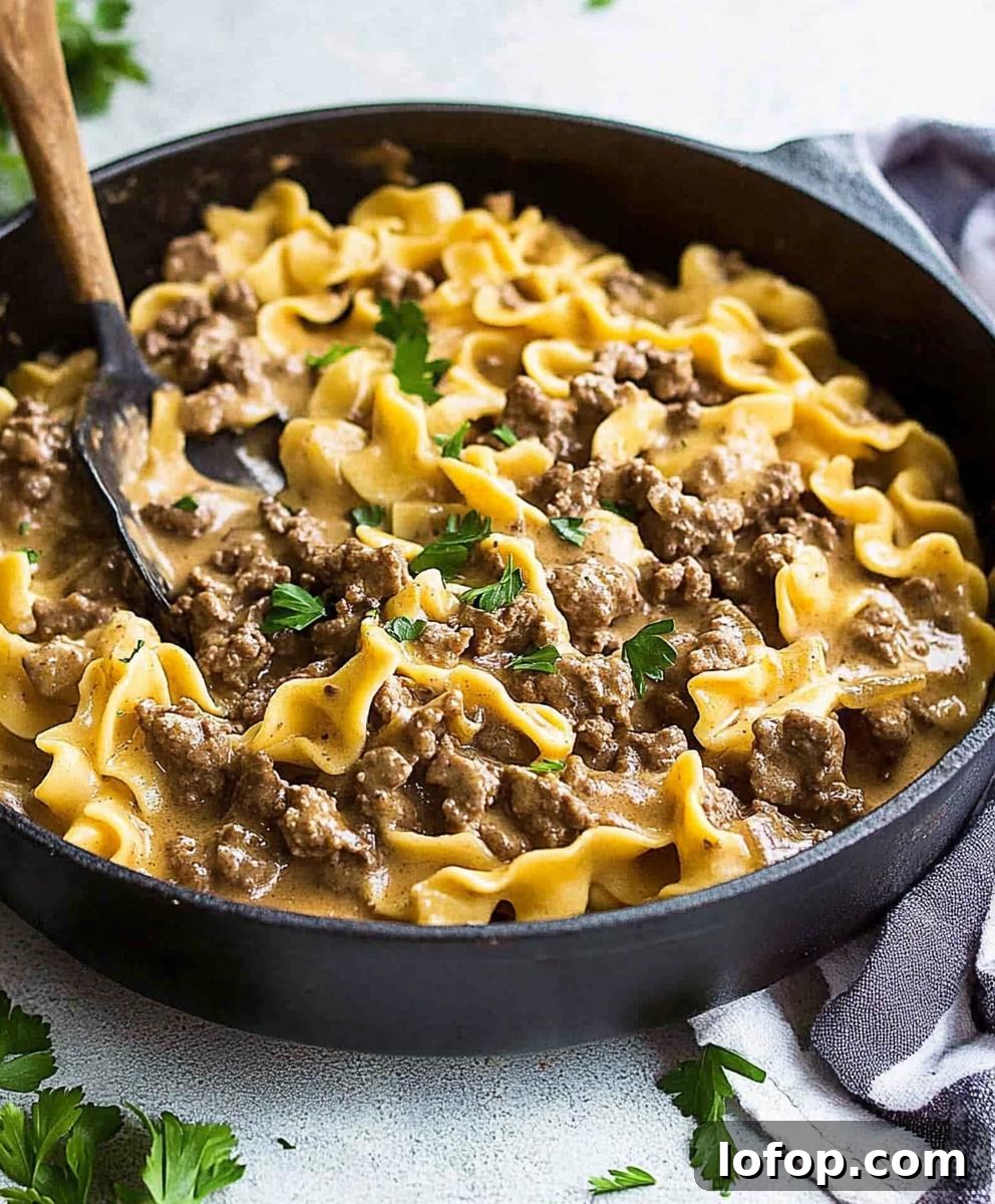Homemade Hamburger Helper Beef Stroganoff Recipe