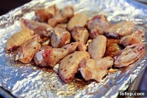 Sticky Cola-Glazed Baked Chicken Wings 5 img 9167 7