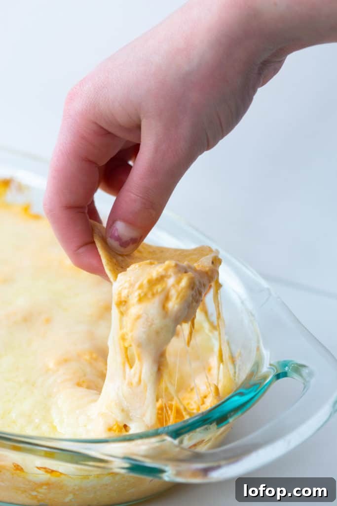 buffalo chicken dip