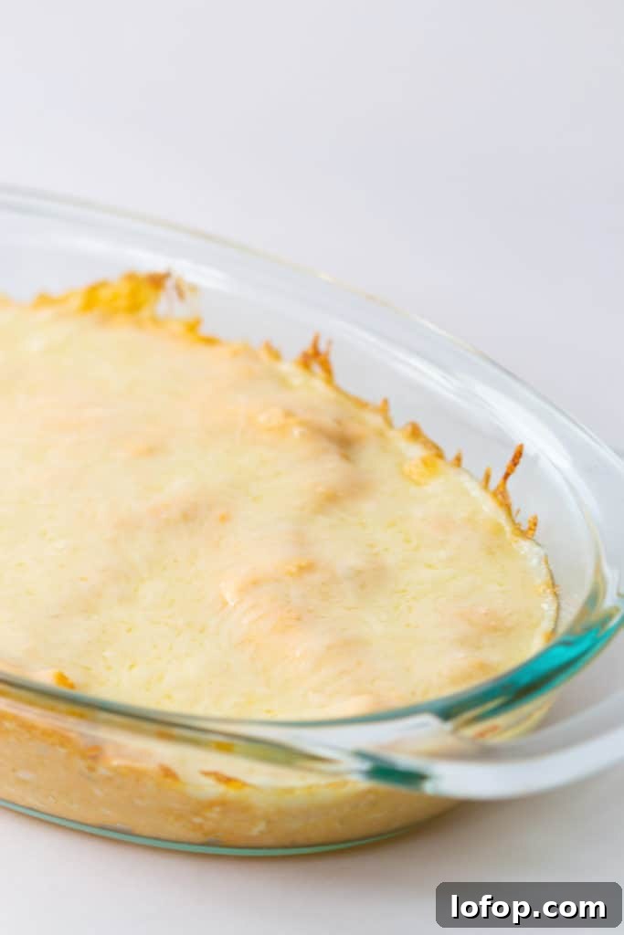 buffalo chicken dip