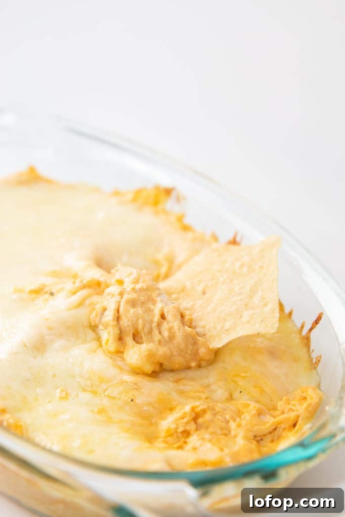 buffalo chicken dip