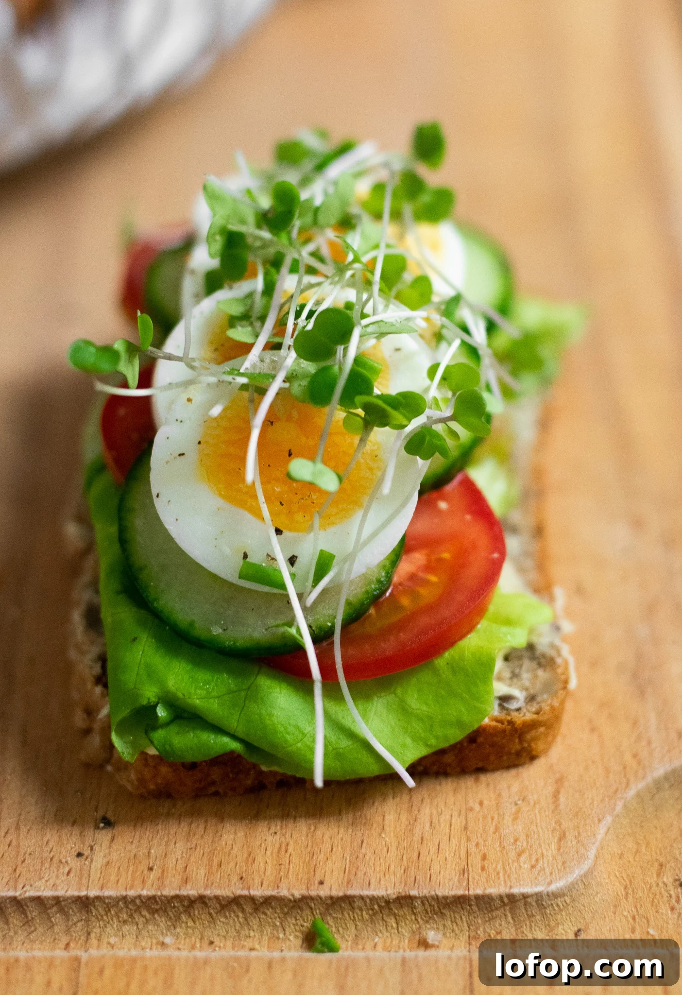 Smørrebrød: Traditional Danish Open-Faced Sandwich Recipes 25 A rye bread open faced sandwich topped with lettuce, tomato, cucumber, sliced egg, and micro greens.