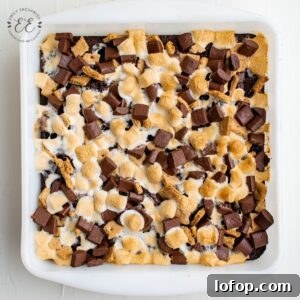 S'mores Brownies