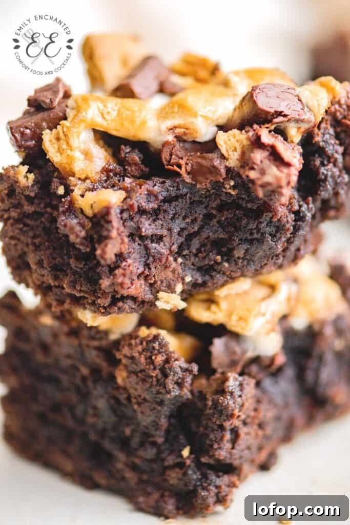 Chocolate Brownies with Smores Topping