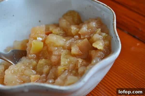 Applesauce-4 img 9402 4