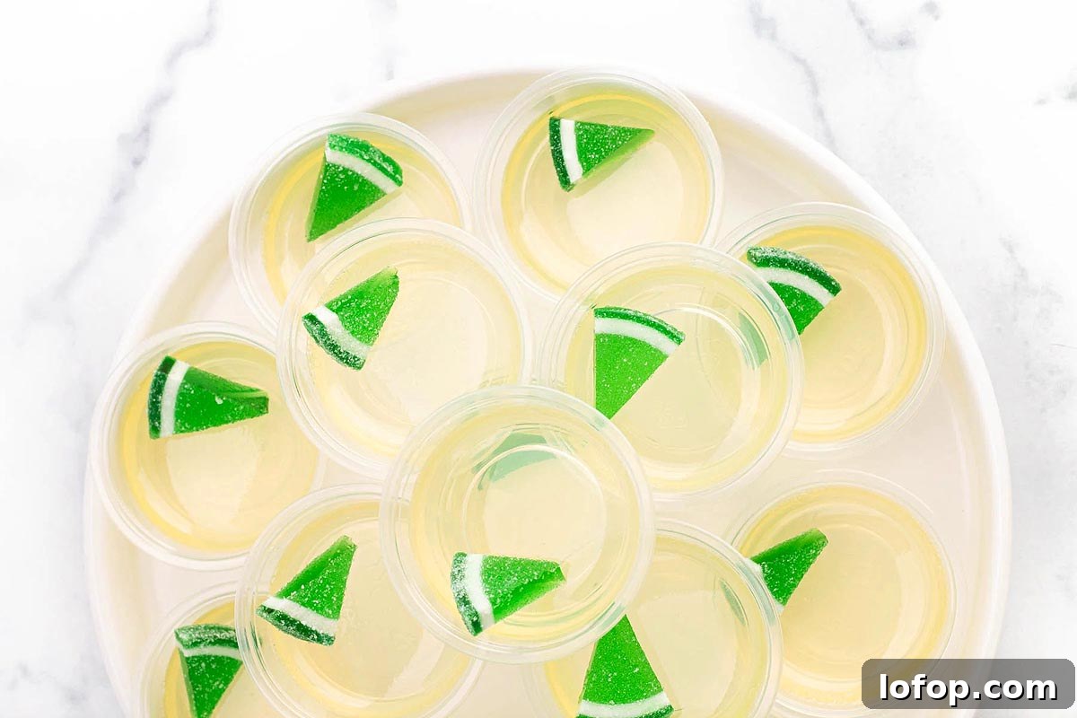 29 Jello Shot Recipes to Kick Off Any Party Night 28 Margarita Jello Shots.