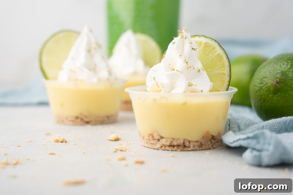 29 Jello Shot Recipes to Kick Off Any Party Night 4 Mini lime cheesecakes with whipped cream and limes.