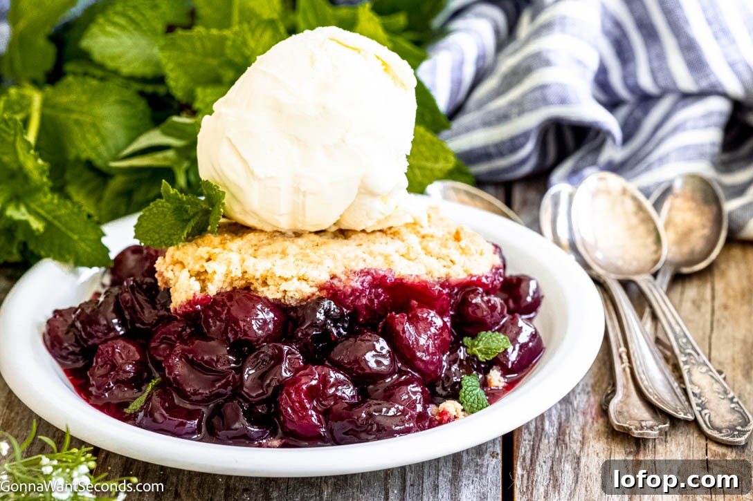 Our homemade cherry cobbler is made with sweet, juicy farm-ripened cherries, then topped with sugar-crusted, tender, cakey biscuits! #cherrycobbler #cobbler Our homemade cherry cobbler is made with sweet, juicy farm-ripened cherries, then topped with sugar-crusted, tender, cakey biscuits!